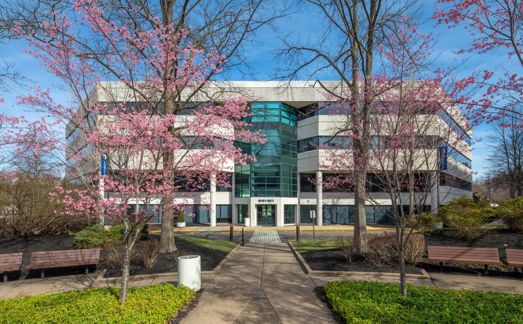 Building Seven framed by blossoming cherry trees